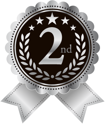 Silver Medal for 2nd place